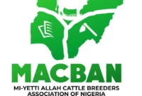Plateau MACBAN accuses ‘Mangu militias’ of killing three herders, 50 cows