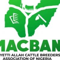 Plateau MACBAN accuses ‘Mangu militias’ of killing three herders, 50 cows