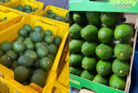 “Demand for Tanzanian avocados is so high that exporters can’t keep up”
