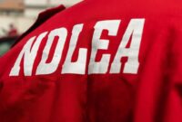 Delta NDLEA seizes drugs worth over ₦2bn, destroys 36.2 hectares of cannabis farms