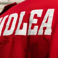 Delta NDLEA seizes drugs worth over ₦2bn, destroys 36.2 hectares of cannabis farms