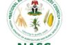 NASC trains seed entrepreneurs to boost quality yam production