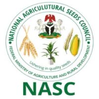 NASC trains seed entrepreneurs to boost quality yam production