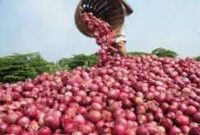 Nigerian onion prices rise over 200% in Lagos