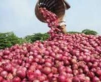 Nigerian onion prices rise over 200% in Lagos