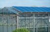 Ghana links greenhouse cultivation to cold storage and export markets