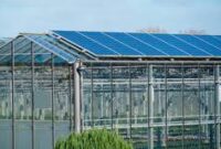 Ghana links greenhouse cultivation to cold storage and export markets