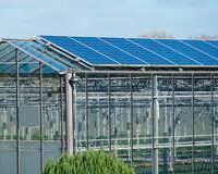 Ghana links greenhouse cultivation to cold storage and export markets