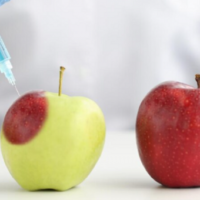 Edo cautions residents on use of chemicals to ripen fruit